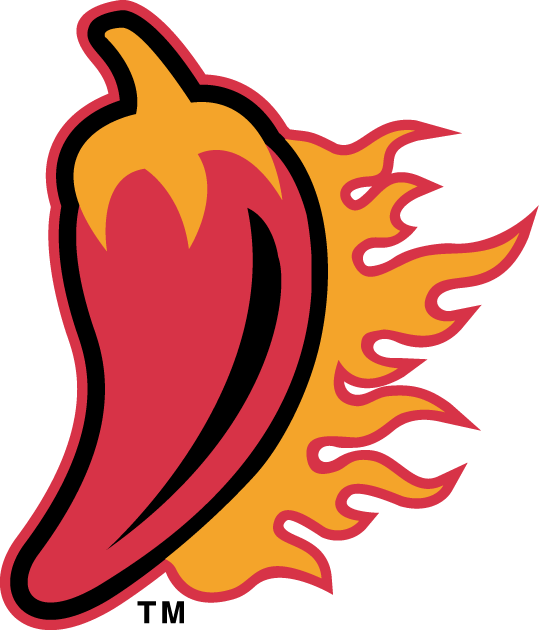 Louisiana Ragin Cajuns 2000-Pres Alternate Logo diy iron on heat transfer